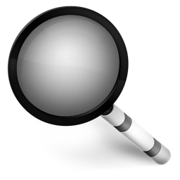 Magnifier Black Icon 256x256 png